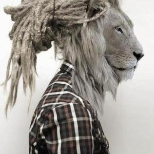 tumblr mg2ji6dWty1s2t0cao1 400
