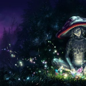 The Mushroom  S Tale By Kir Tat