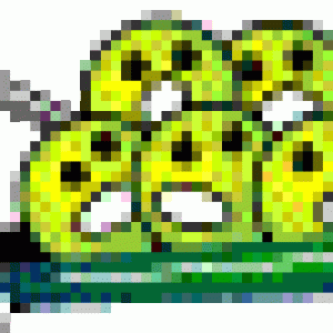 gan2