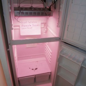 P6230062