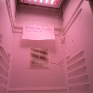 P6230063