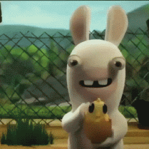 gifs 24