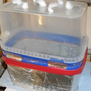DSCN1936