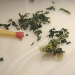 DSC05013