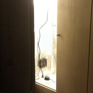 IMAG0186
