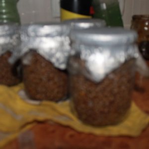 IMG 2714
