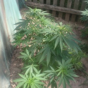 CIMG0060