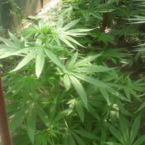 CIMG0062