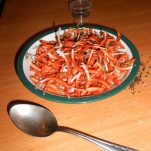 DSCN1998