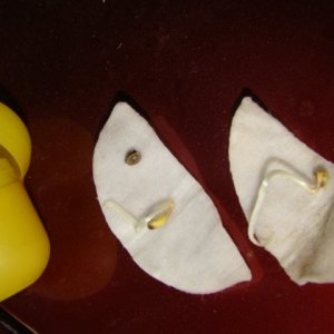 DSC08690