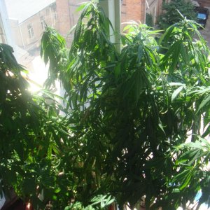 DSC05179