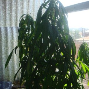 DSC05182