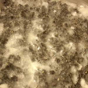 DSCN1436