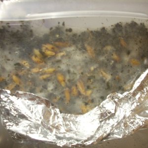 DSCN1437