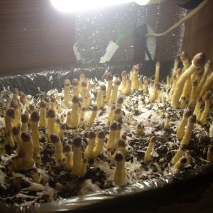 DSCN1438