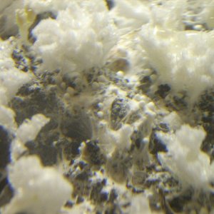 DSCN1446