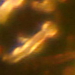 DSC05310