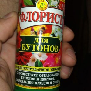 IMAG0447