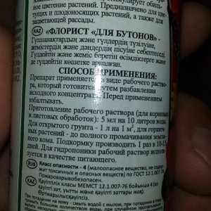 IMAG0448