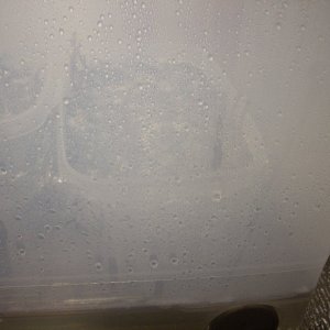 DSCN1497