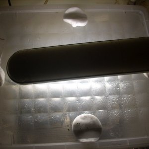 DSCN1495