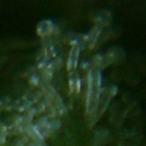 DSC05427