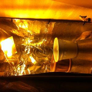 image 11 09 13 20 31