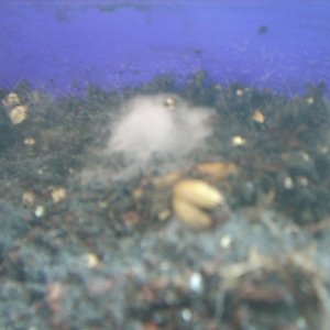 DSCN1538