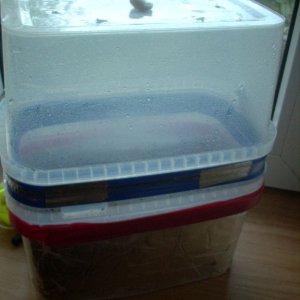 DSCN1546