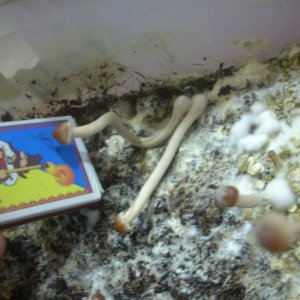 DSCN1777