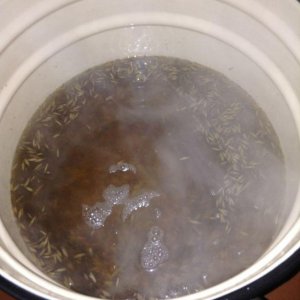 IMG 0869