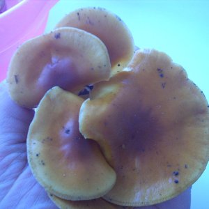 DSCN1791