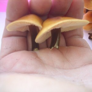 DSCN1797