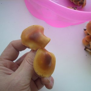 DSCN1798