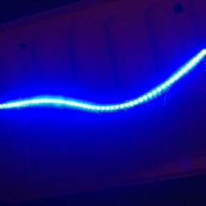 IMG 1005