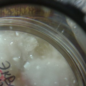DSCN1857