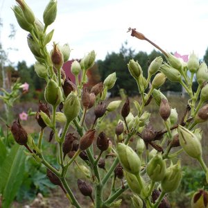 P1070028
