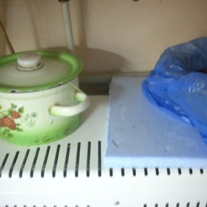 DSCN1961