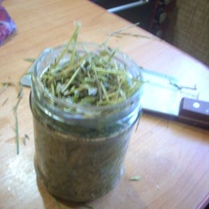 DSCN1969