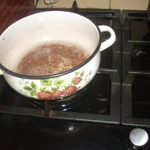 DSCN1993