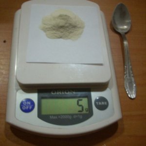DSCN1995