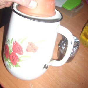 DSCN2007