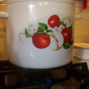 DSCN2027