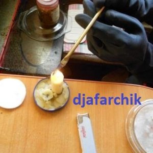 гриб Шиитаке