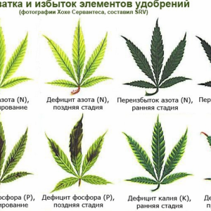 дейфицит 1