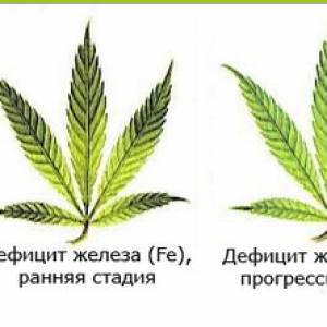 дефицит 3