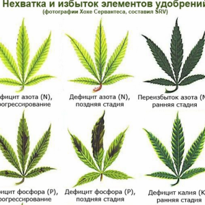 дейфицит 1