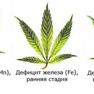 дефицит 3