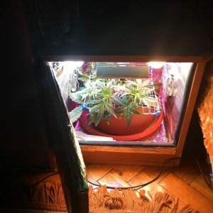 2014213110802