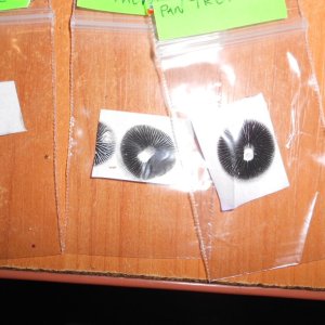 DSCN2798